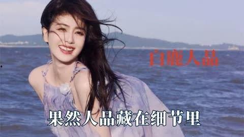 圈里人爆料白鹿视频,圈内人爆料背后的惊人真相