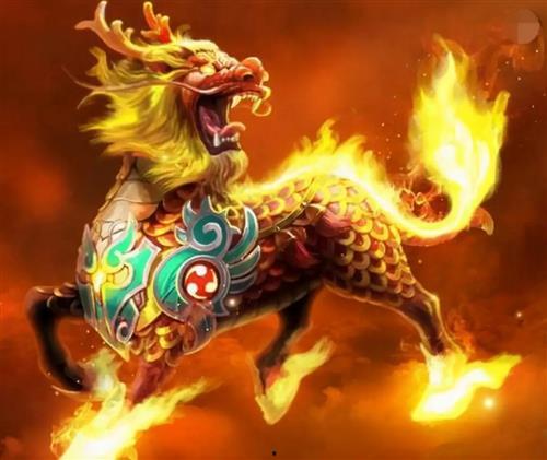 野生麒麟爆料视频全集,野生麒麟爆料视频全集深度解析